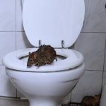 Reasons To Hire Kent Drainage Company