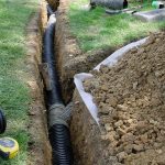 How To Protect Your Home From Rodent Infestation?