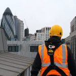 Step into Timeless Elegance: Can Vinyl Flooring Replicate Classic Hardwood Designs?