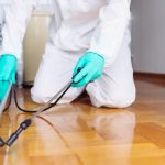 Best Automated Rent Collection Platforms for Landlords in 2025