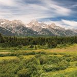 A Local’s Guide to Buying Your Dream Home in San Carlos