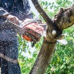 DIY vs Professional Exterior Restoration Service