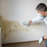 When It Makes Sense To Repair A Pipe And When Replacement Is The Better Option?