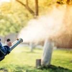 A Room-by-Room Guide to Mold Inspection: Where Professionals Look for Hidden Moisture